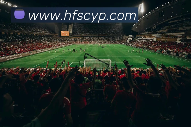 星空平台生态图