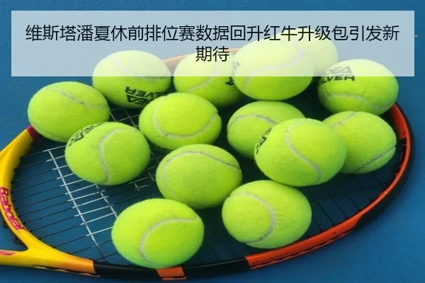 维斯塔潘夏休前排位赛数据回升红牛升级包引发新期待